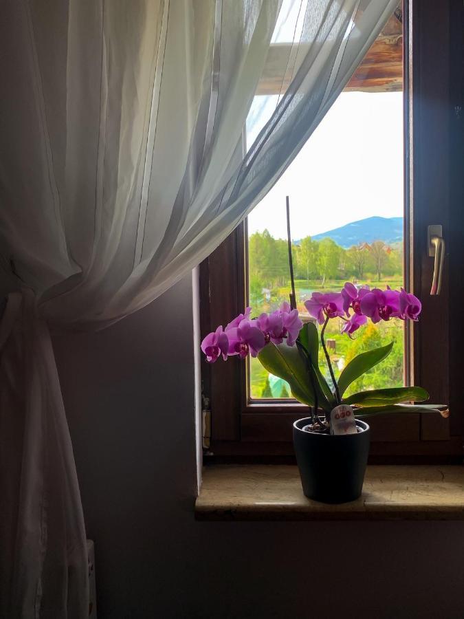 Ferienwohnung Po Drodze Stronie Śląskie Exterior foto